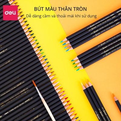 Bút chì màu nước cao cấp Deli dạng cốc - 24 màu/36 màu/48màu/72 màu - 68100/68101/68102/68114