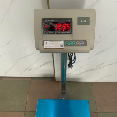 Cân điện tử 300kg A12E