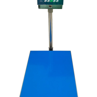 Cân Điện Tử B19S