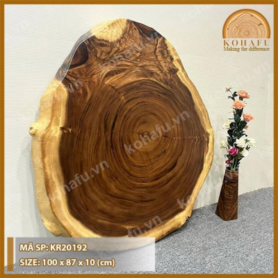 MẶT BÀN OVAL SOFA CHO PHÒNG KHÁCH HIỆN ĐẠI - KR20192