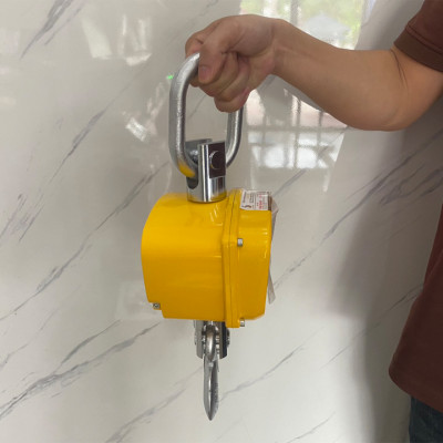 Cân Treo Điện Tử OCS-GGE