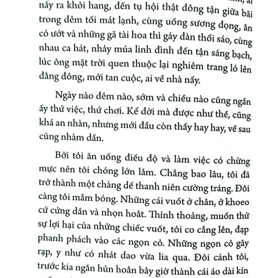Dế Mèn Phiêu Lưu Ký – Ngô Xuân Khôi Minh Họa - Ấn Bản Kỉ Niệm 100 Năm Tô Hoài