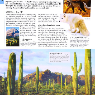 Lịch Sử Tự Nhiên