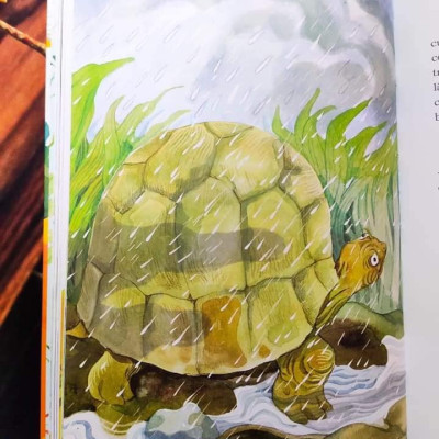 XÓM BỜ GIẬU (Bìa cứng)