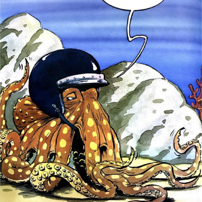 Ô Kìa! Em Có Biết : Bạch Tuộc