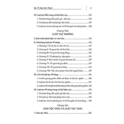 Sách - Tìm Hiểu Luật Tục Các Tộc Người Ở Việt Nam - Ngô Đức Thịnh - VIETNAMBOOK