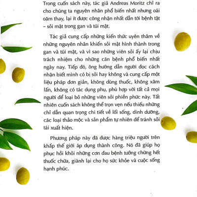 Cẩm Nang Hướng Dẫn Tẩy Sỏi Gan Mật - Phương Pháp Diệu Kỳ Cho Sức Khỏe Dài Lâu (Tái Bản 2023)