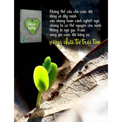 Sách - Sách Hiểu Về Trái Tim - Minh Niệm - First News