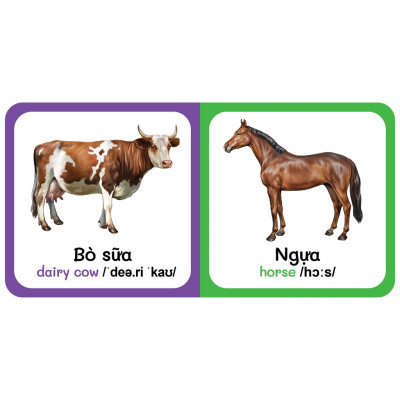 Trọn Bộ 9 Cuốn Từ Điển Bằng Hình Đầu Tiên Của Bé Từ 0-6 tuổi - Song Ngữ Anh- Việt - (VT)