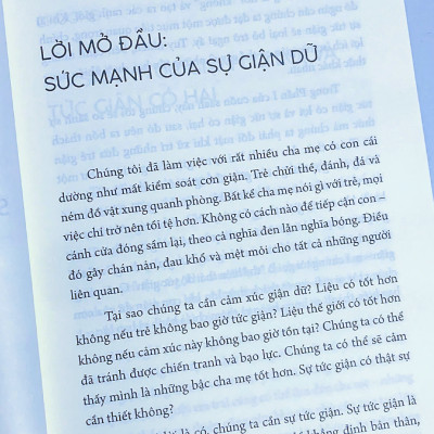 Sách: Trẻ Cáu, Cha Mẹ Gắt