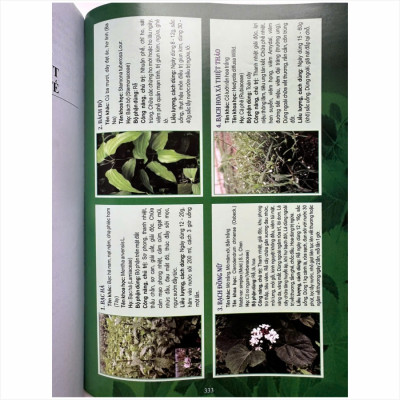 Sách Tuyển Chọn Các Bài thuốc Nam Chữa Triị Bệnh Theo Mùa, Các Bệnh Hậu COVID - V2494D