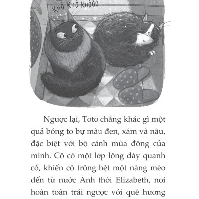 Toto - Cô Mèo Ninja