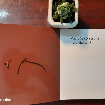 Combo 4 cuốn Ehon Nhật Bản Cùng chơi trốn tìm 8 Sinh vật biển, Cùng chơi trốn tìm 9 Các loài chim, Cùng chơi trốn tìm 10 Côn trùng, Cùng chơi trốn tìm 11 Giáng sinh