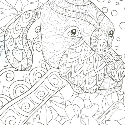 Sách Tô Màu Người Lớn - ĐỘNG VẬT HOANG DÃ: Tô Màu Cho Cuộc Sống Bình Yên Và Thư Giãn (Adult Colouring Book -Wilderness: Colouring For Peace And Relaxation)