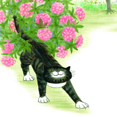 Mèo Mog Mập : Cô Mèo Cứu Em Bé - Cô Mèo và Bà - Cô Mèo Đãng Trí - Chuyện Ở Phòng Khám - Giáng Sinh Của Cô Mèo (Trọn bộ 5 quyển)