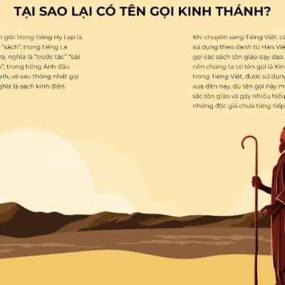 Lẻ/Combo - Kinh Thánh Cựu Ước & Tân Ước - Linh mục Nguyễn Thế Thuấn - Bản Quyền