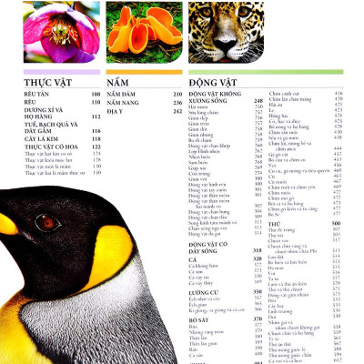 Lịch Sử Tự Nhiên