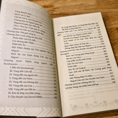BÊN KIA SỢ HÃI - Truyền Thống Tâm Linh Của Người Toltec Về Giấc Mơ, Quán Niệm Và Tự Do - Don Miguel Ruiz - Hà Thủy Nguyên dịch - Lyceum