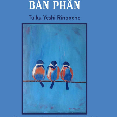 Cẩm Nang Dành Cho Các Vị Phật Bán Phần