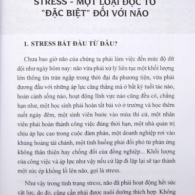 Chế Độ Ăn Bổ Trí Não Giảm Stress