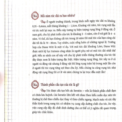 Sách Dạy Tạo Kiểu Tóc