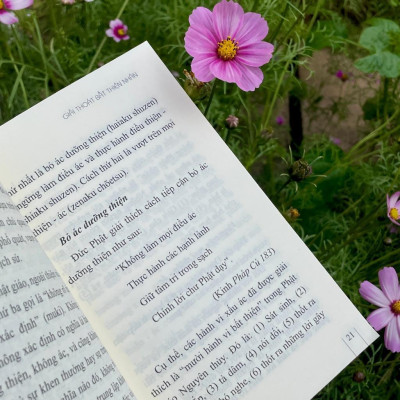 Sách - Giải Thoát Bất Thiện Nhân - Vĩnh Nghiêm Books