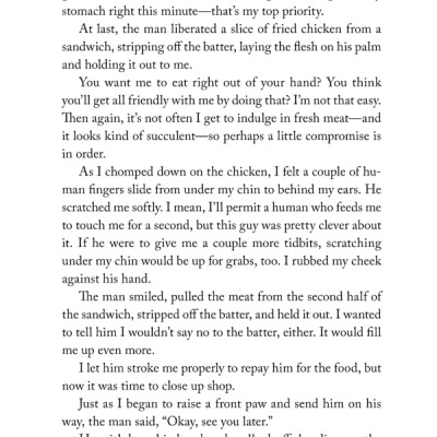 The Travelling Cat Chronicles