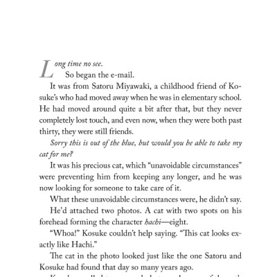 The Travelling Cat Chronicles