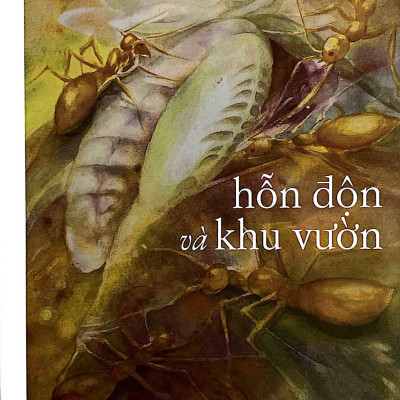 Hỗn Độn Và Khu Vườn