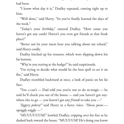 Harry Potter And The Chamber Of Secrets (Harry Potter và Phòng chứa bí mật) (English Book)