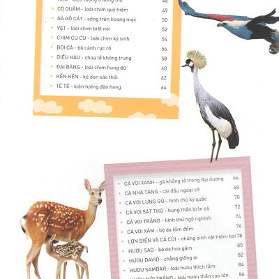 Thiên Nhiên- Những Bí Mật Còn Ẩn Giấu - Động Vật Quý Hiếm (Tái Bản 2019)- 2HBooks