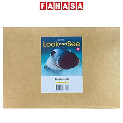 Look And See 3: Flashcards
