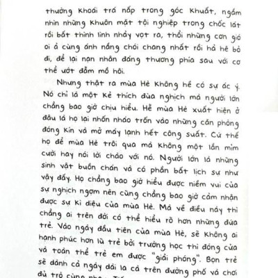 Cúc Dại Và Tia Nắng