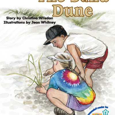 i-Learn Smart World Reader Pack 6 (3 quyển)