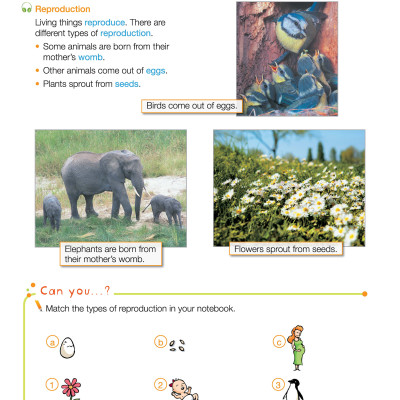 i-Learn Smart Science 3 Student Book