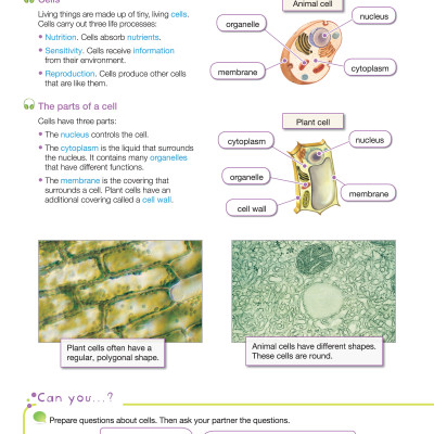 i-Learn Smart Science 5 Student Book