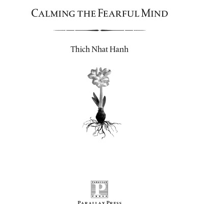 Calming The Fearful Mind: A Zen Response To Terrorism
