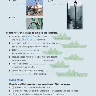 Dominoes 3 My Family and Other Animals