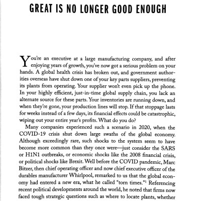 Beyond Great: Nine Strategies For Thriving In An Era Of Social Tension, Economic Nationalism, And Technological Revolution
