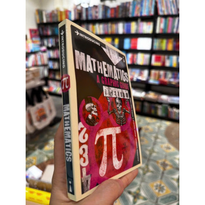 Sách - Introducing Mathematics A Graphic Guide by Ziauddin Sardar - Icon Books Graphic Guide Series