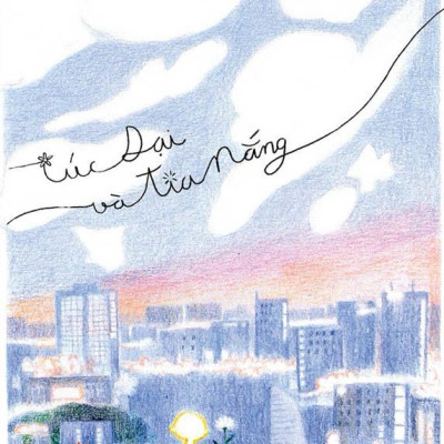 Cúc Dại Và Tia Nắng