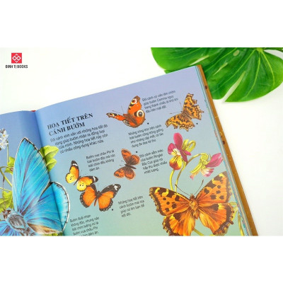 Sách Bách Khoa Tri Thức Dành Cho Trẻ Em - 4 -15 Tuổi- Đinh Tị