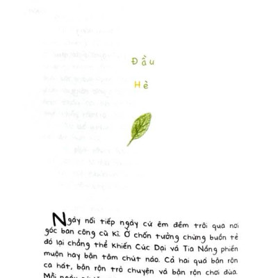 Cúc Dại Và Tia Nắng