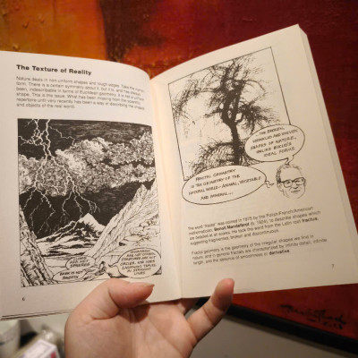 Sách - Introducing Fractals: A Graphic Guide by Nigel Lesmoir-Gordon - Science / Nonfiction