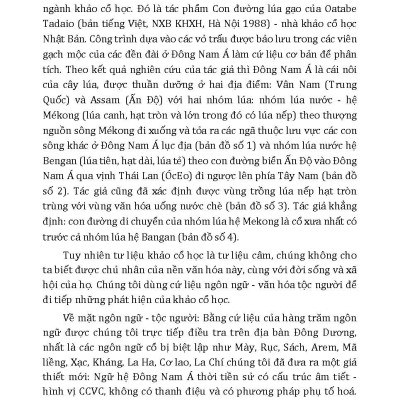 Có Một Vùng Văn Hóa MeKong