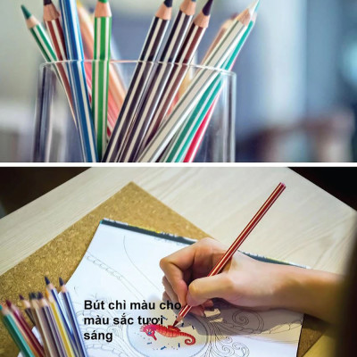 Bộ bút chì màu Swans 36 màu - Hộp 36 màu + Tuyển tập tô màu SVCB (CLP1868-36B)