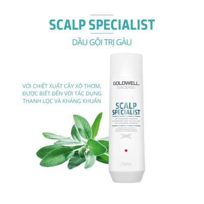 Dầu Gội Sạch Gàu Goldwell Scalp Specialist Làm Sạch Sâu, Giảm Ngứa, Ngăn Ngừa Gàu Quay Trở Lại 250ml