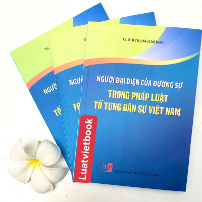 Người Đại Diện Của Dương Sự Trong Pháp Luật Tố Tụng Dân Sự Việt Nam