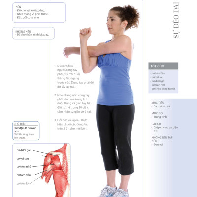 70 Bài Tập Cải Thiện Vóc Dáng Tăng Sự Dẻo Dai (Bản in màu)