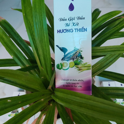 Dầu Gội Đầu Bồ Kết Hương Thiền